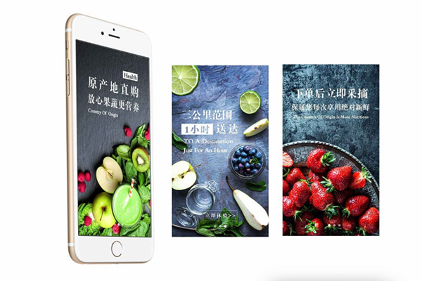 生鮮電商2019年發展報告